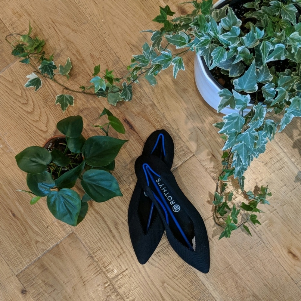 Rothy's Pointed Flats